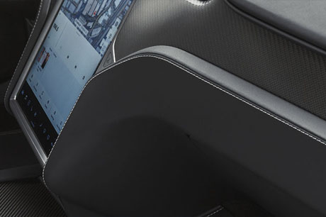 Dashboard Trim Protection